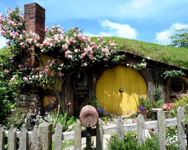 Another beautiful house at Hobbiton Movie Set