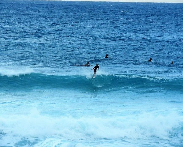 Surfing in Oahu