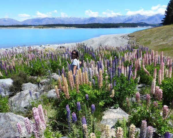The breathtaking colors of Lake Pukaki