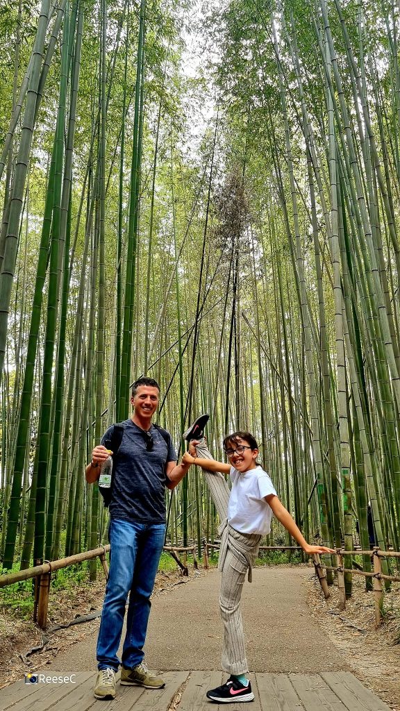 Arashiyama Bamboo Forest