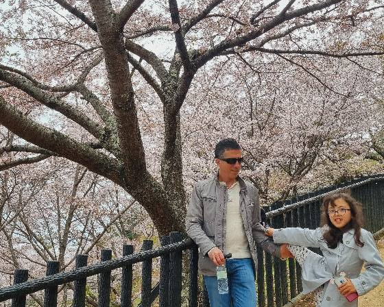 Going up to the Chureito Pagoda