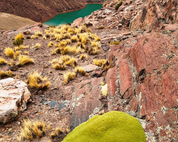 Colorful Lagoons, Bolivia