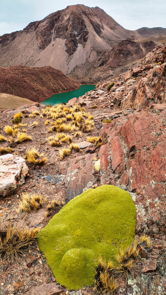 Colorful Lagoons, Bolivia