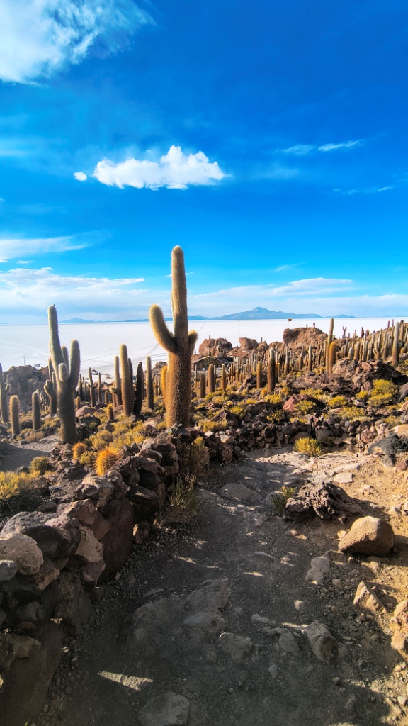 Incahuasi Island, Salar de Uyuni