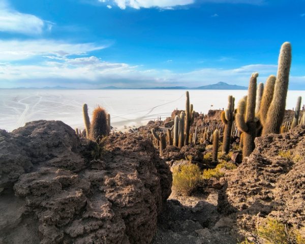Incahuasi Island, also known as Isla del Pescado