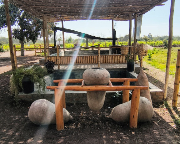 Our stop at Pisco Farm