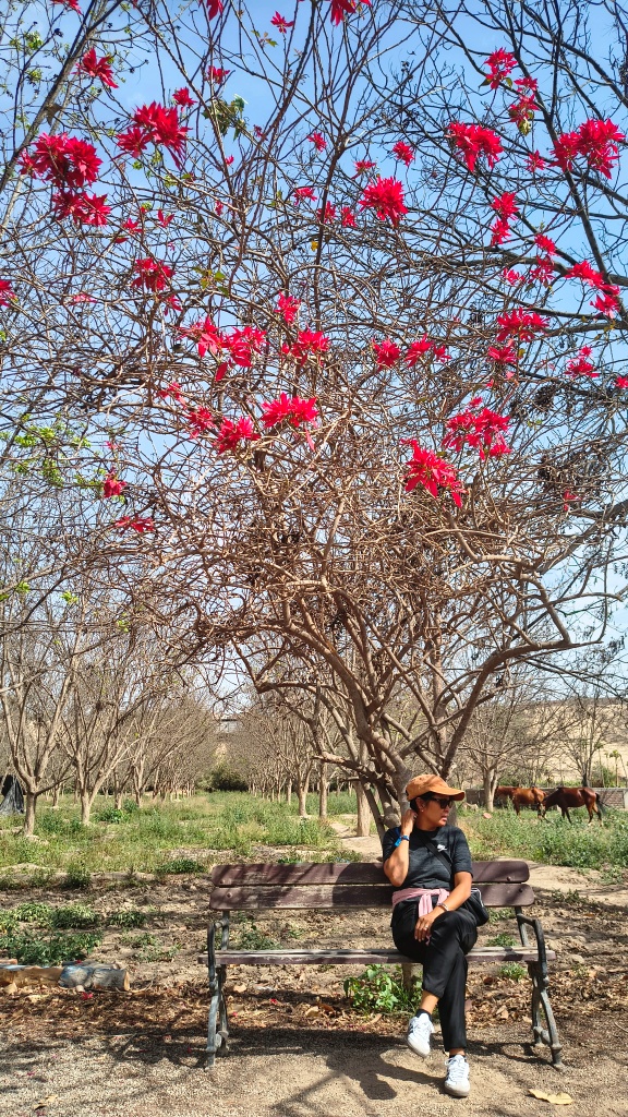 Resting at Pisco Farm