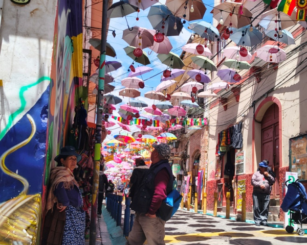 Witches' markets of La Paz