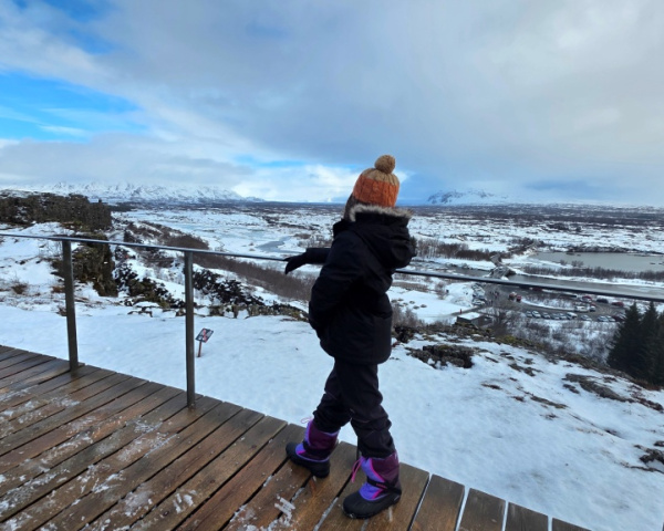 A view of Þingvellir National Park