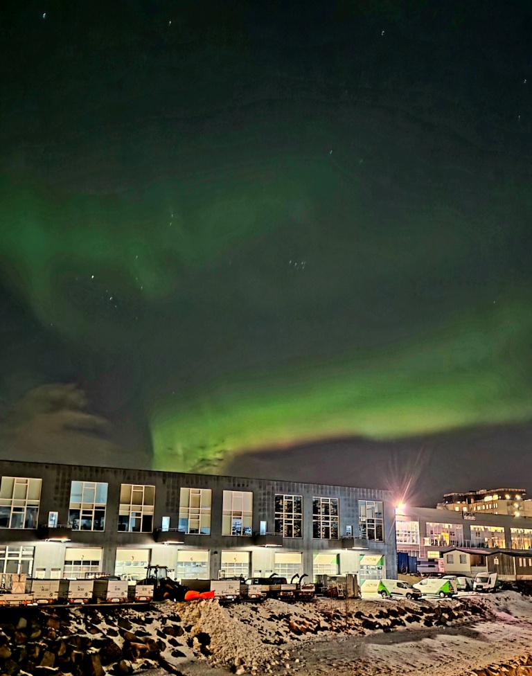 The nothern lights from our apartment in Reykjavik
