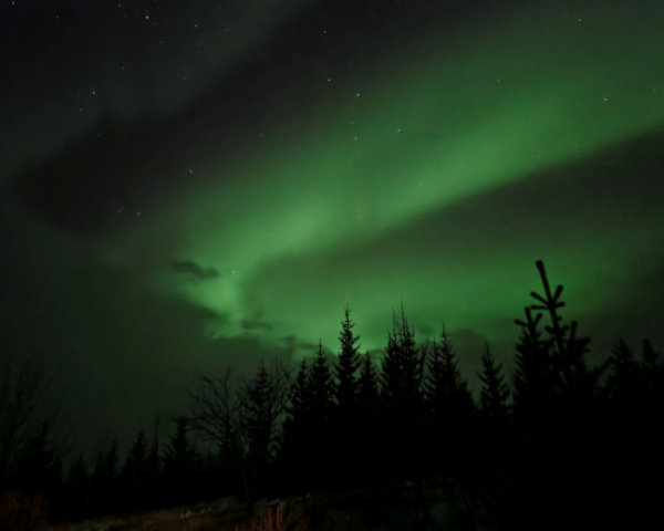 The nothern lights in Iceland