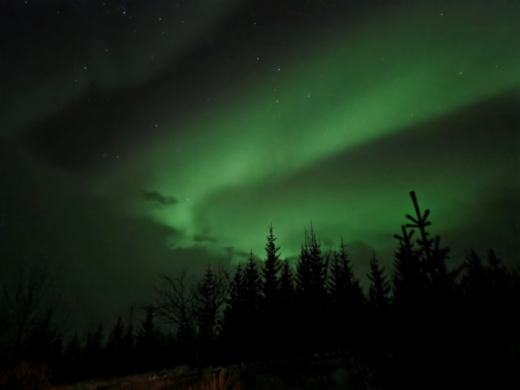 The nothern lights in Iceland