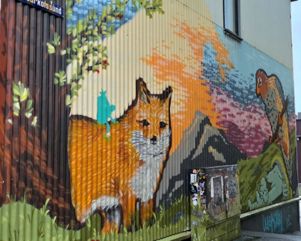 Walking in Reykjavik